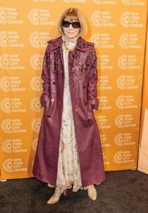 October 29, 2025, Bronx, New York, USA: Anna Wintour wearing coat by Burberry and dress by Alexander McQueen attends opening night for musical Bat Boy: The Musical at City Center in New York, NY on October 29, 2025. Bronx USA - ZUMAr339 20251029_znp_r339_025 Copyright: xLevxRadinx