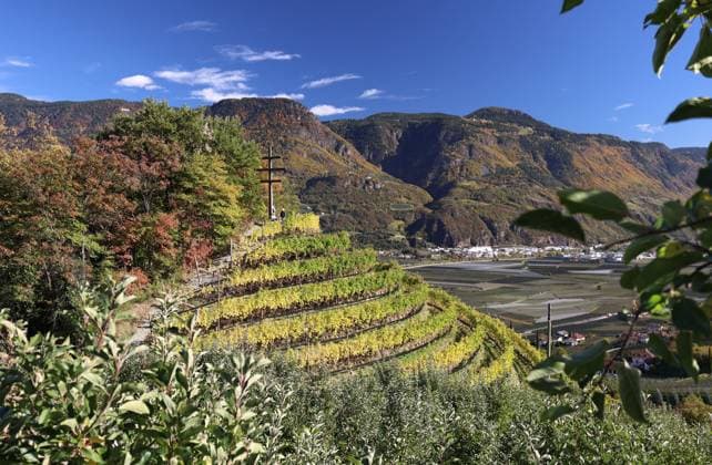 Hier der Blick an einem Herbsttag vom Marlinger Waalweg, oberhalb von Marling bei Meran auf das Etschtal, auf ein Wetterkreuz, Meraner Land, Burggrafenamt, Südtirol, Alto Adige ,Tourismus, Herbstlich, Blätterfärbung, Farbenspiel, Herbstlicht, Herbstsonne, Laubfärbung, Weinberg, Weinberge, wandern, spazieren, Ausblick, Panorama *** Here is the view on an autumn day from the Marlinger Waalweg, above Marling near Merano on the Adige Valley, on a weather cross, Meraner Land, Burggrafenamt, South Tyrol, Alto Adige, tourism, autumn, leaf coloring, play of colors, autumn light, autumn sun, foliage coloring, vineyard, vineyards, hiking, walking, view, panorama