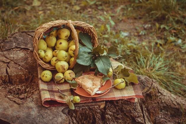 Korb mit Äpfeln und Charlotte aus Äpfeln. Ernte im Herbst. Hausgemachte Äpfel im Korb gesammelt. Gesundes Essen Basket with apples and charlotte from apples. Autumn harvesting. Collected homemade apples in the basket. Healthy food Copyright: imageBROKER Dr.xMartinxBaumgärtn ibxiqx15342878.jpg
