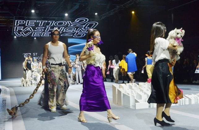 SHANGHAI, CHINA - OCTOBER 31: Pet owners and their pets walk the runway during the 5th Petjoy Fashion Week at Shanghai Fashion Center on October 31, 2025 in Shanghai, China. The 2025 Petjoy Fashion Week opened on October 31 in Shanghai, bringing together global brands, innovative designs, and lifestyle trends that highlight the fast-growing pet industry.  Copyright: xVCGx 111600987247