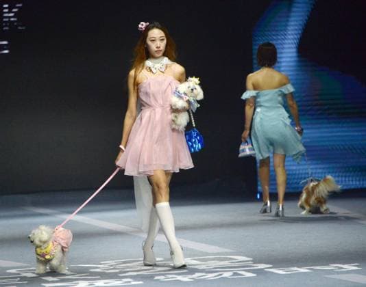 SHANGHAI, CHINA - OCTOBER 31: A pet owner and her pet walk the runway during the 5th Petjoy Fashion Week at Shanghai Fashion Center on October 31, 2025 in Shanghai, China. The 2025 Petjoy Fashion Week opened on October 31 in Shanghai, bringing together global brands, innovative designs, and lifestyle trends that highlight the fast-growing pet industry.  Copyright: xVCGx 111600987225