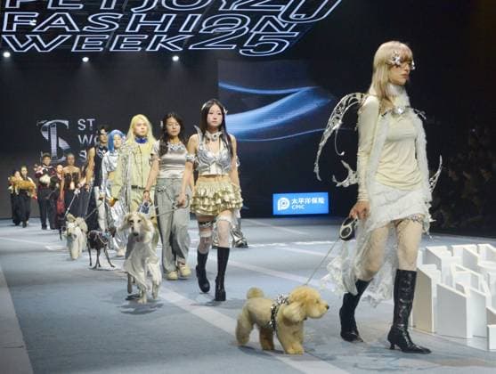 SHANGHAI, CHINA - OCTOBER 31: Pet owners and their pets walk the runway during the 5th Petjoy Fashion Week at Shanghai Fashion Center on October 31, 2025 in Shanghai, China. The 2025 Petjoy Fashion Week opened on October 31 in Shanghai, bringing together global brands, innovative designs, and lifestyle trends that highlight the fast-growing pet industry.  Copyright: xVCGx 111600987234