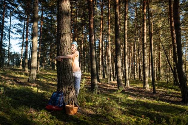 Zufriedene Frau umarmt Baum während der Ernte im Wald. Friedliche weibliche Erdverbundenheit, grüner Liebhaber Joyful serene woman hugging tree trunk while foraging mushrooms and berries in forest. Green lover nature connection grounding, mindful therapy, spiritual renewal, natural immersion and balance (License=RF) ,model released, Symbolfoto Copyright: xZoonar.com DmitriixMarchenkox 24199131 ,model released, Symbolfoto ,property released