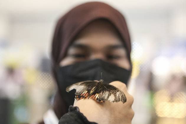 Indonesia International Pet Expo 2025 TANGERANG, INDONESIA - NOVEMBER 2 : A woman shows off a butterfly that has landed on her hand during the Indonesia International Pet Expo (IIPE) 2025 in Tangerang, Banten Province, Indonesia, on November 2, 2025. Featuring more than 300 exhibitors from Indonesia and abroad, the Indonesia International Pet Expo (IIPE) is one of the country’s leading platforms for pet products and services, attracting pet owners, animal communities, and industry professionals. Agoes Rudianto Anadolu Tangerang Indonesia. Editorial use only. Please get in touch for any other usage.  Copyright: x2025xAnadoluxAgoesxRudiantox