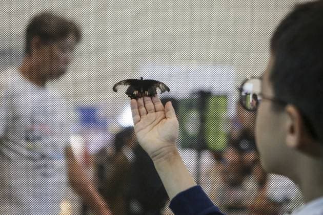 Indonesia International Pet Expo 2025 TANGERANG, INDONESIA - NOVEMBER 2 : A butterfly is displayed during the Indonesia International Pet Expo (IIPE) 2025 in Tangerang, Banten Province, Indonesia, on November 2, 2025. Featuring more than 300 exhibitors from Indonesia and abroad, the Indonesia International Pet Expo (IIPE) is one of the country’s leading platforms for pet products and services, attracting pet owners, animal communities, and industry professionals. Agoes Rudianto Anadolu Tangerang Indonesia. Editorial use only. Please get in touch for any other usage.  Copyright: x2025xAnadoluxAgoesxRudiantox