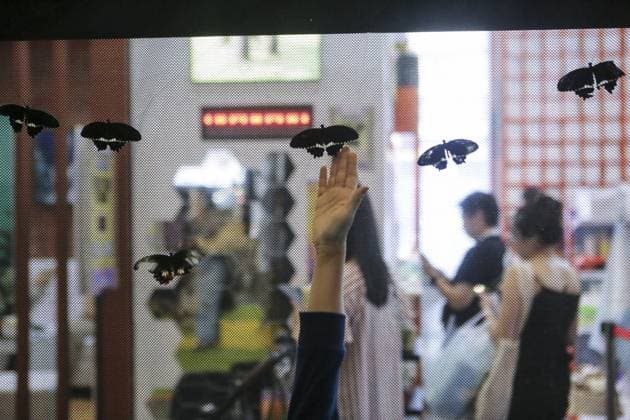 Indonesia International Pet Expo 2025 TANGERANG, INDONESIA - NOVEMBER 2 : Butterflies are displayed during the Indonesia International Pet Expo (IIPE) 2025 in Tangerang, Banten Province, Indonesia, on November 2, 2025. Featuring more than 300 exhibitors from Indonesia and abroad, the Indonesia International Pet Expo (IIPE) is one of the country’s leading platforms for pet products and services, attracting pet owners, animal communities, and industry professionals. Agoes Rudianto Anadolu Tangerang Indonesia. Editorial use only. Please get in touch for any other usage.  Copyright: x2025xAnadoluxAgoesxRudiantox