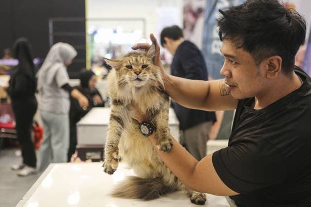 Indonesia International Pet Expo 2025 TANGERANG, INDONESIA - NOVEMBER 2 : Visitor bring a cat during the Indonesia International Pet Expo (IIPE) 2025 in Tangerang, Banten Province, Indonesia, on November 2, 2025. Featuring more than 300 exhibitors from Indonesia and abroad, the Indonesia International Pet Expo (IIPE) is one of the country’s leading platforms for pet products and services, attracting pet owners, animal communities, and industry professionals. Agoes Rudianto Anadolu Tangerang Indonesia. Editorial use only. Please get in touch for any other usage.  Copyright: x2025xAnadoluxAgoesxRudiantox