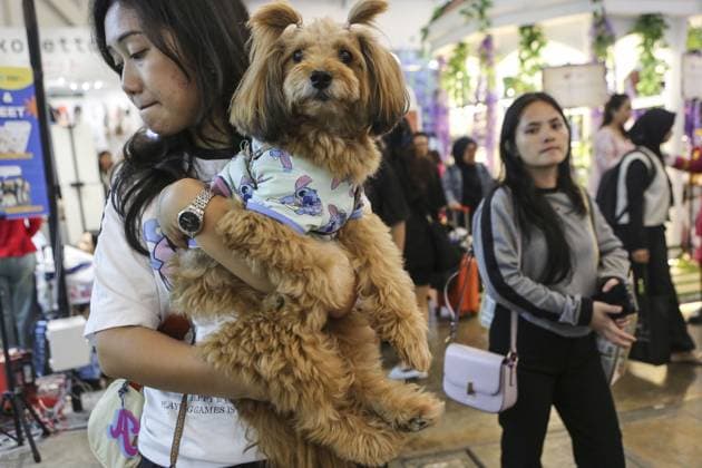 Indonesia International Pet Expo 2025 TANGERANG, INDONESIA - NOVEMBER 2 : Visitor bring a dog during the Indonesia International Pet Expo (IIPE) 2025 in Tangerang, Banten Province, Indonesia, on November 2, 2025. Featuring more than 300 exhibitors from Indonesia and abroad, the Indonesia International Pet Expo (IIPE) is one of the country’s leading platforms for pet products and services, attracting pet owners, animal communities, and industry professionals. Agoes Rudianto Anadolu Tangerang Indonesia. Editorial use only. Please get in touch for any other usage.  Copyright: x2025xAnadoluxAgoesxRudiantox