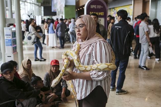 Indonesia International Pet Expo 2025 TANGERANG, INDONESIA - NOVEMBER 2 : Visitor held a snake during the Indonesia International Pet Expo (IIPE) 2025 in Tangerang, Banten Province, Indonesia, on November 2, 2025. Featuring more than 300 exhibitors from Indonesia and abroad, the Indonesia International Pet Expo (IIPE) is one of the country’s leading platforms for pet products and services, attracting pet owners, animal communities, and industry professionals. Agoes Rudianto Anadolu Tangerang Indonesia. Editorial use only. Please get in touch for any other usage.  Copyright: x2025xAnadoluxAgoesxRudiantox