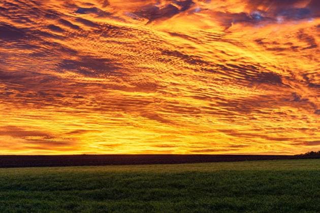 LK Osnabrück, Deutschland 1.11.2025: Im Bild: Morgenhimmel mit leuchtenden Altocumulus- und Cirrostratuswolken über einer landwirtschaftlich genutzten Wiese. Die intensive orangefarbene Lichtstimmung entsteht durch die tief stehende Sonne und betont die Struktur der Wolkenfelder. Symbolbild für Wetter, Tagesbeginn und Naturphänomene in der Landschaft. Niedersachsen *** LK Osnabrück, Germany 1 11 2025 Morning sky with bright altocumulus and cirrostratus clouds over an agricultural meadow The intense orange light mood is created by the low sun and emphasizes the structure of the cloud fields Symbolic image for weather, start of day and natural phenomena in the landscape of Lower Saxony Copyright: xFotostandx xReissx
