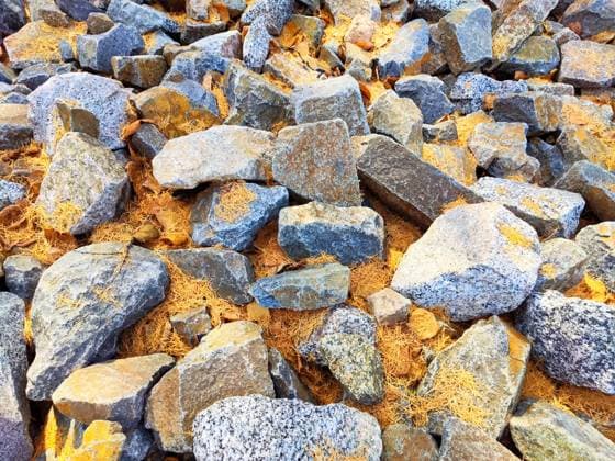 Closeup of rocks and orange dried leaves on the ground. Background, texture, frame, pattern, place for text, copy space Closeup of rocks and orange dried leaves on the ground. Background, texture, frame, pattern, place for text and copy space, 60978270.jpg RECORD DATE NOT STATED