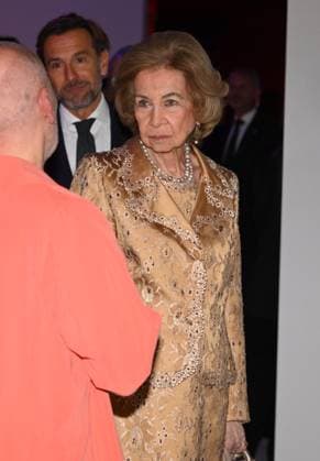 40th edition of the BMW Painting Prize Queen Dona Sofía presides over the presentation of the BMW Painting Prize and subsequent benefit concert to support the work of childrens food banks at the Teatro Real, on November 3, 2025, in Madrid Spain TEATRO REAL GENTE José Madrid Madrid Madrid Spain AWARD  Copyright: xJosÃ xOlivax 7074543