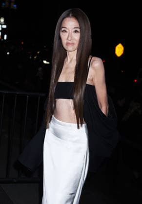 Outside arrivals during the 2025 CFDA Awards at The American Museum of Natural History Featuring: Vera Wang Where: New York, United States When: 03 Nov 2025 Credit: Darla Khazei INSTARimages EDITORIAL USE ONLY. NOT FOR USE BY NEWSPAPERS BASED IN THE UK. Copyright: xx instar55240219