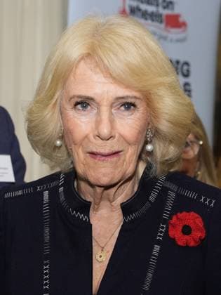 Community volunteering celebration Queen Camilla hosts members of the National Association of Care Catering (NACC), and representatives from Royal Voluntary Service (RVS) in a celebration of community volunteering during Meals on Wheels Week, at Clarence House in central London. Picture date: Wednesday November 5, 2025., Credit:Jordan Pettitt Avalon UK, London  Copyright: xJordanxPettittx xAvalonx 1050493311