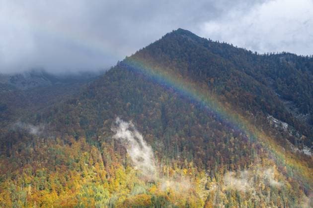 Regenbogen vor herbstlich verfärbten Wald, Berg, Steiermark, Österreich Rainbow in front of autumnal forest, mountain, Styria, Austria Copyright: imageBROKER SonjaxJordan ibxjor15574245.jpg