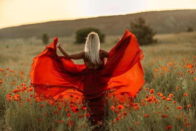 Woman poppy field red dress sunset. Happy woman in a long red dress in a beautiful large poppy field. Blond stands with her back posing on a large field of red poppies Woman poppy field red dress sunset. Happy woman in a long red dress in a beautiful large poppy field. Blond stands with her back posing on a large field of red poppies., 62141058.jpg RECORD DATE NOT STATED
