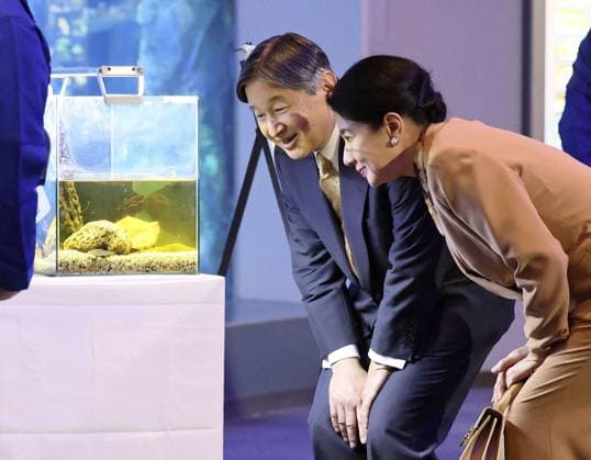 Emperor, empress in Mie Prefecture Japanese Emperor Naruhito and Empress Masako visit Toba Aquarium in Toba, Mie Prefecture, on Nov. 8, 2025. The imperial couple are visiting the central Japan prefecture to attend a fishery industry promotional event ceremony. (Pool photo)  A14AA0005019703P