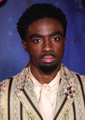 Netflix FYSEE: The Fall Edit - Stranger Things Season 5 FYC Event American actor, singer, and dancer Caleb McLaughlin arrives at the Netflix FYSEE: The Fall Edit - Stranger Things Season 5 FYC (For Your Consideration) Event held at the Netflix Tudum Theater in Hollywood, Los Angeles, California, United States. Netflix Tudum Theater, Hollywood, Los Angeles, California, USA California United States  Copyright: xImagexPressxAgencyx originalFilename: collin-netflixf251109_np2Bf.jpg