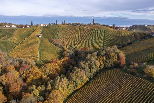 Luftaufnahme, typische Landschaft im Herbst mit Weinberge, südsteirisches Hügelland, Südsteirische Weinstraße, Steiermark, Österreich Aerial view, typical landscape in autumn with vineyards, South Styrian hills, South Styrian wine route, Styria, Austria Copyright: imageBROKER SonjaxJordan ibxjor15573541.jpg