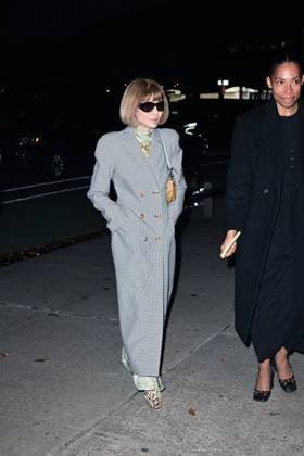 Celebrities arrive for CVFF Vogue Dinner Featuring: Anna Wintour Where: New York City, New York, United States When: 10 Nov 2025 Credit: Elder Ordonez INSTARimages EDITORIAL USE ONLY. NOT FOR USE BY NEWSPAPERS BASED IN THE UK. Copyright: xx instar55259090