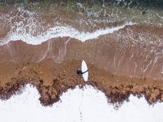 Solo Woman with surfboard on a snowy beach South Kingstown, Rhode Island, United States CR_CABR251110A-1846558-01 ,model released, Symbolfoto