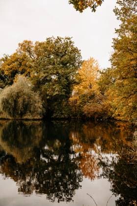 Autumn Trees Reflected in Mühlenteich Lensahn, Schleswig Holstein Heiligenhafen, Schleswig-Holstein, Germany R_EPZT251110A-1881458-01