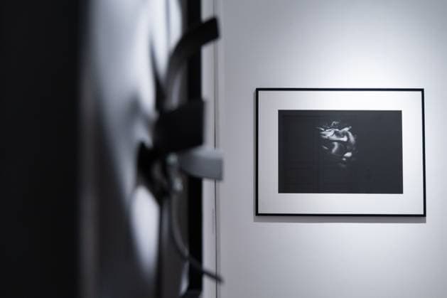 Press preview of the Bienalsur 2025 exhibition Invocations at the Brazilian Embassy in Rome – Galleria Cândido Portinari  Copyright: xMatteoxNardonex xipa-agency.netx xMatteoxNardonex IPA_Agency_IPA67861813