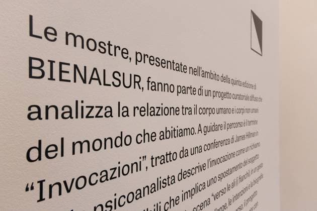 Press preview of the Bienalsur 2025 exhibition Invocations at the Museum of Rome at Palazzo Braschi  Copyright: xMatteoxNardonex xipa-agency.netx xMatteoxNardonex IPA_Agency_IPA67861863