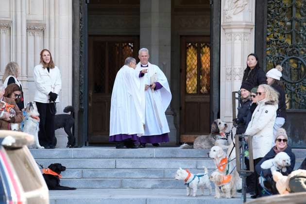 Jane Goodall funeral service - Washington Handlers stand with a dog salute as mourners arrive before the funeral service for conservationist Jane Goodall at the National Cathedral in Washington on November 12, 2025. Photo by Yuri Gripas ABACAPRESS.COM Washington DC United States  Copyright: xGripasxYuri ABACAx
