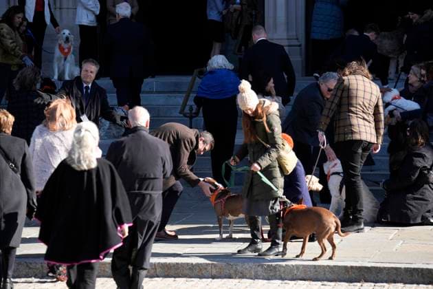Jane Goodall funeral service - Washington Handlers stand with a dog salute as mourners arrive before the funeral service for conservationist Jane Goodall at the National Cathedral in Washington on November 12, 2025. Photo by Yuri Gripas ABACAPRESS.COM Washington DC United States  Copyright: xGripasxYuri ABACAx