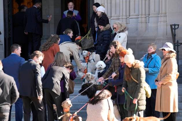 Jane Goodall funeral service - Washington Handlers stand with a dog salute as mourners arrive before the funeral service for conservationist Jane Goodall at the National Cathedral in Washington on November 12, 2025. Photo by Yuri Gripas ABACAPRESS.COM Washington DC United States  Copyright: xGripasxYuri ABACAx