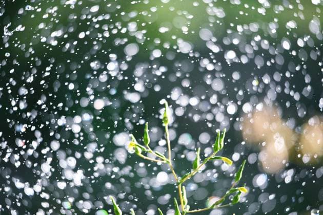 IMAGO Creative, Jahreszeit Sommer, Regen, Sommerregen fliegende Wassertropfen aus dem Schlauch im Garten, Hintergrund, Ökologie, Thema sauberes Wasser. flying waterdrops from hose in a garden, background, ecology ,clean water theme (License=RF) Copyright: xZoonar.com nehruxsulejmanovskix 24167702