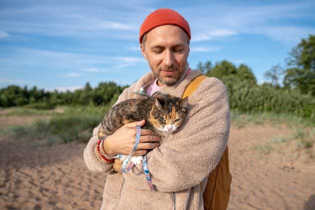 Mann mit nervösem, gestresstem Kätzchen, das er nach einer gemeinsamen Wanderung an einem sonnigen Tag in den Armen beruhigt. Man pet owner spending time outdoors with dissatisfied pet, holding furry angry cat in hands, petting and smiling. Male carrying and calming nervous stressed kitty in arms after hiking day outside (License=RF) ,model released, Symbolfoto Copyright: xZoonar.com DmitriixMarchenkox 24216589 ,model released, Symbolfoto ,property released
