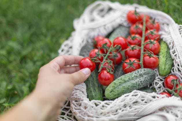 Frische Kirschtomaten und Gurken in einer umweltfreundlichen Baumwolltasche auf grünem Gras mit einer Hand, die eine Tomate pflückt, als Symbol für gesunde Ernährung, biologischen Anbau und nachhaltigen Lebensstil Fresh cherry tomatoes and cucumbers in an eco-friendly cotton bag on green grass with a hand picking one tomato, symbolizing healthy eating, organic farming, and sustainable lifestyle concept (License=RM) Copyright: xZoonar.com EvgeniiaxGordeevax 24227200