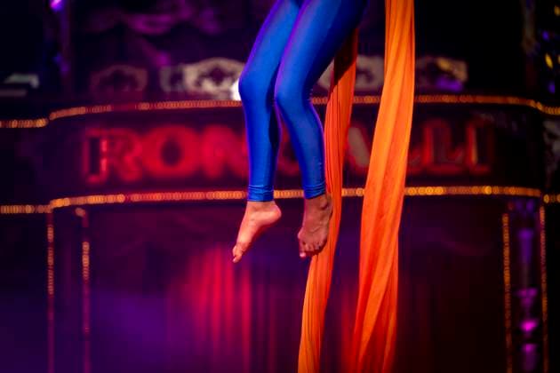 10.11.2025, Zirkus Roncalli, Gala Show von A.PPLAUS Xtra Jugendtheatercircus im Circus-Theater Roncalli in München, Artistin am Tuch-Trapez. 10.11.2025, Roncalli 10.11.2025, Roncalli *** 10 11 2025, Circus Roncalli, gala show by A PPLAUS Xtra youth theater circus at the Circus Theater Roncalli in Munich, artist on the trapeze 10 11 2025, Roncalli 10 11 2025, Roncalli 10 11 2025, Roncalli