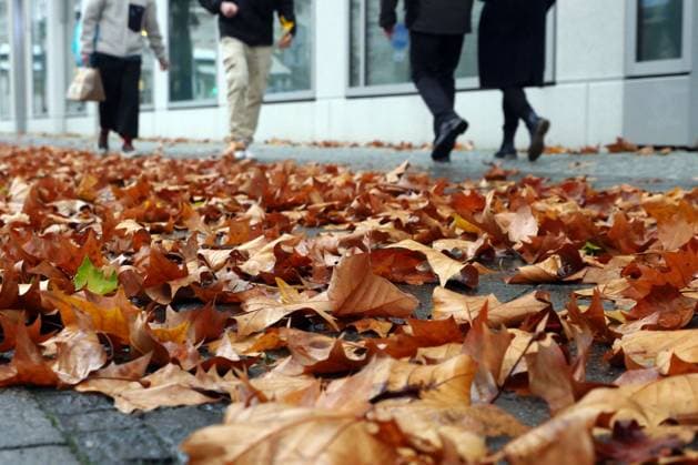 15.11.2025, Berlin - Deutschland. Bürgersteig voll mit nassem Herbstlaub. *** 15 11 2025, Berlin Germany Sidewalk full of wet fall leaves