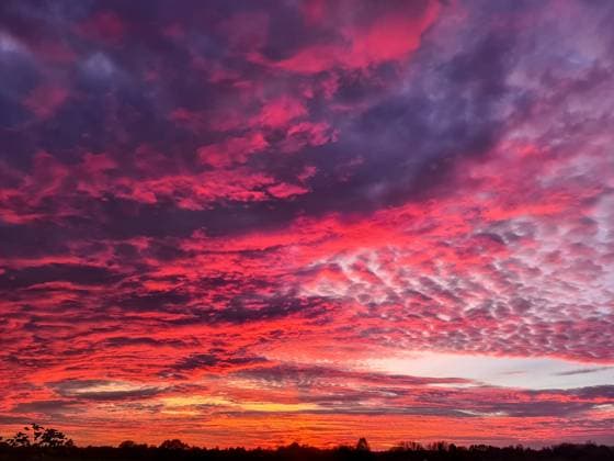 Sonnenuntergang, der den Himmel mit dramatischen roten, rosa und violetten Wolken erleuchtet und eine markante natürliche Kulisse über einer dunklen Horizontlinie schafft, die Schönheit und Leidenschaft widerspiegelt *** Sunset, the the Sky with Dramatic red, Pink and purple Clouds enlightened and a distinctive natural Backdrop via a dark The horizon line creates, the Beauty and Passion reflecting 1127162167