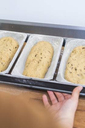Drei Laibe Brotteig auf einem Blech, vorbereitet für das Backen, Weihnachtsbacken, Haselstaller Hof, Wildberg, Deutschland Three loaves of bread dough on a tray, prepared for baking, Christmas baking, Haselstaller Hof, Wildberg, Germany Copyright: imageBROKER ManuelxKamuf ibxmlk15664857.jpg