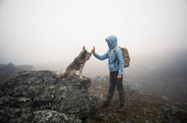Female hiker with dog on misty rocky mountain in Finnish Lapland Kilpisjärvi, Lapland, Finland CR_PJJZ251118F3-1892489-01 ,model released, Symbolfoto