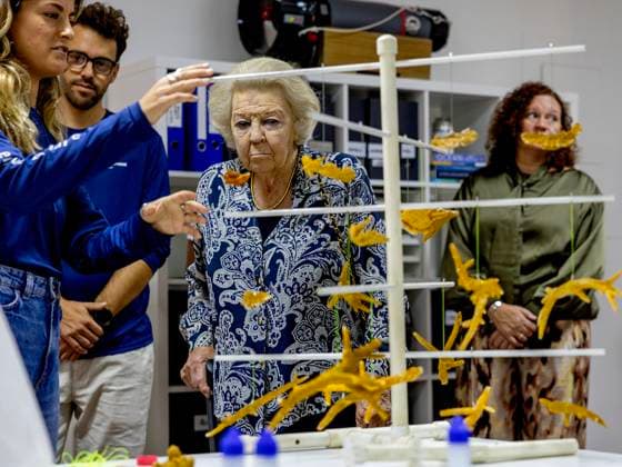 19-11-2025 Antillen Princess Beatrix visited Mangrove Maniacs and Reef Renewal Foundation Bonaire (RRFB) on the 2nd and last day of her visit to Bonaire. Â  Copyright: xPPEx
