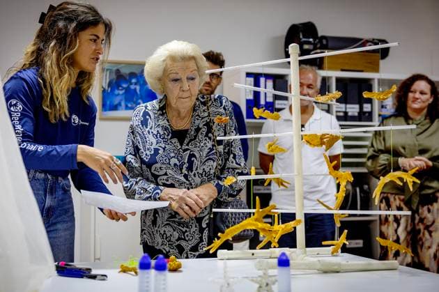 19-11-2025 Antillen Princess Beatrix visited Mangrove Maniacs and Reef Renewal Foundation Bonaire (RRFB) on the 2nd and last day of her visit to Bonaire. Â  Copyright: xPPEx