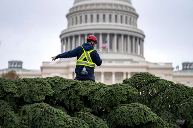 Architect of the Capitol employees unload the 2025 U.S. Capitol Christmas Tree at the U.S. Capitol in Washington, DC on Friday, November 21, 2025. The tree, a 53-foot red fir from the Humboldt-Toiyabe National Forest in Nevada, is nicknamed Silver Belle.  WAP20251121319 BONNIExCASH