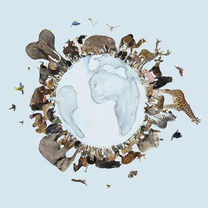 Verschiedene Tiere, die die Erde mit Wasserfarben umgeben, symbolisieren die globale Biodiversität und die Bedeutung des Naturschutzes Diverse animals encircling watercolor earth, symbolizing global biodiversity and the importance of wildlife conservation Copyright: imageBROKER EricxIsselee ibxiss15699201.jpg