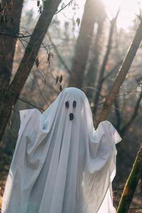 Ghost costume in forest with sunlight during Halloween holiday model released, Symbolfoto, ANAF05261