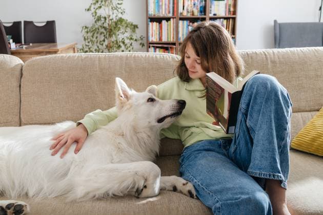 Girl reading book and relaxing with swiss shepherd dog on sofa at home model released, Symbolfoto property released, ELMF01233