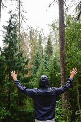IMAGO Creative, Jahreszeit Sommer, Regen, Sommerregen Person in hooded jacket with arms raised enjoying summer forest model released, Symbolfoto, EYAF03692