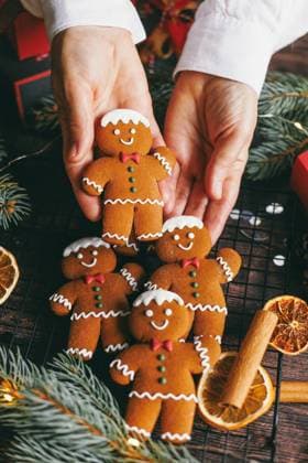 Hands holding gingerbread cookies with Christmas festive decoration model released, Symbolfoto, MKVF00123