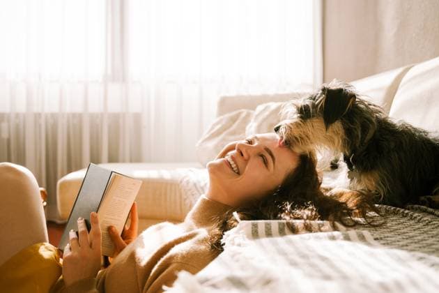 Smiling woman relaxing with dog and book on sofa in cozy home model released, Symbolfoto property released, NDEF02984