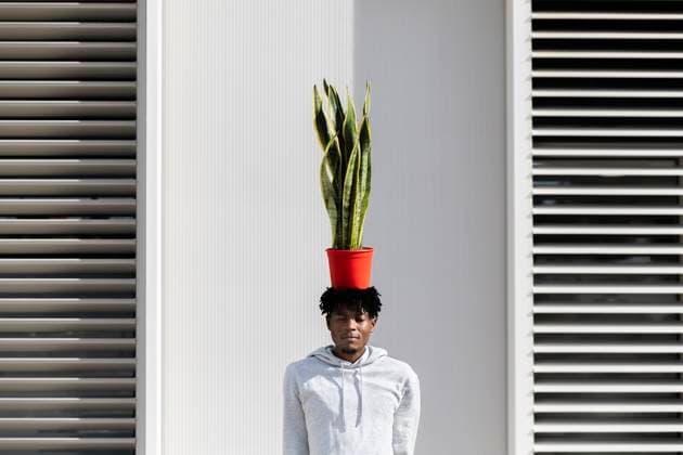 Man in grey tracksuit balancing plant on head in front of modern building model released, Symbolfoto, PCLF02975
