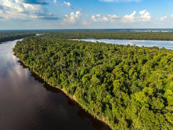 Beautiful aerial view to green amazon rainforest islands Novo Airão, Amazonas, Brazil R_GNUJ251121A-1897251-01